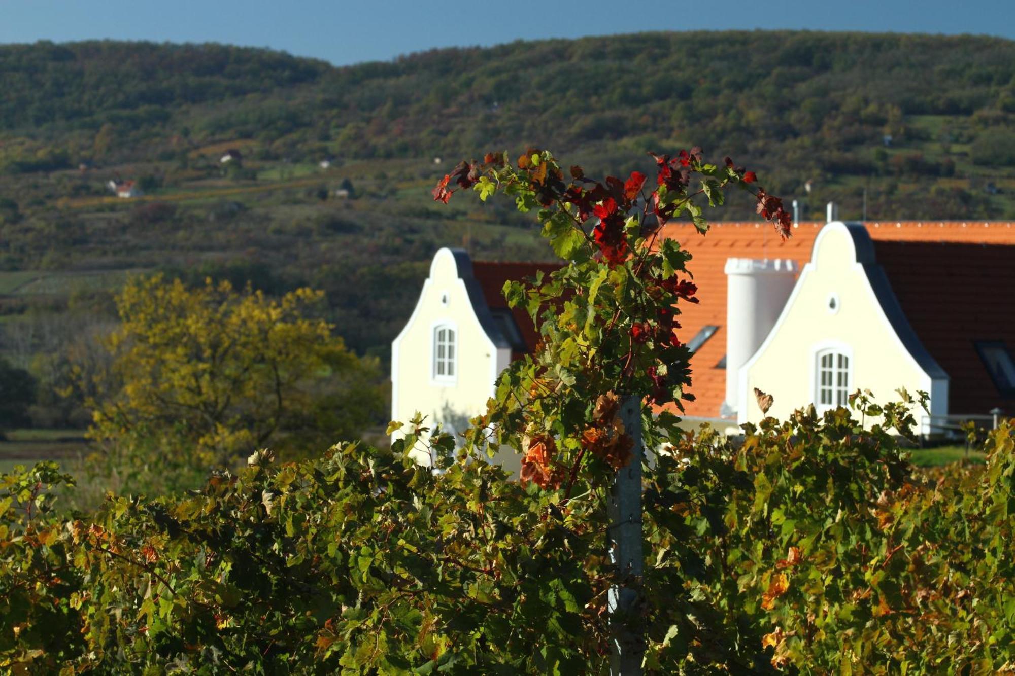 Liszkay Borkuria Hotel Monoszlo Екстериор снимка